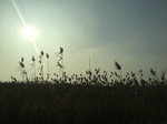 2018-01-08_09-59-00_CC9C8AF6-3736-464B-91D5-83C040FD5153.jpg