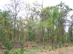 17458100_2147.JPG