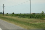 2022-05-26_14-16-02_544FED0F-2CD5-4A7B-AFED-6891BAA05BE7.jpeg