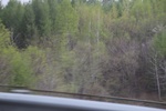 2017-05-12_17-07-56_2017-05-04 22.36.52.jpg