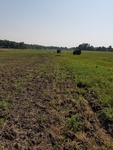 2017-09-25_08-49-19_East.jpg