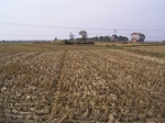 3186R0017220.JPG