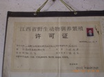 3368 020.jpg