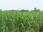 483502052008(31).JPG