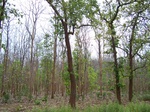 17459100_2148.JPG