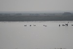 4131IMG_8768.JPG