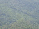 2012-09-08_20-00-36_RIMG0068.JPG