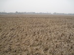 8516IMG_0342.JPG
