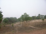 3944RIMG0248.JPG
