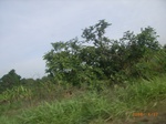 3731RIMG0034.JPG
