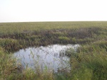 441420071010gps 092.jpg