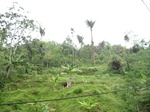 16354IMG_5138.JPG