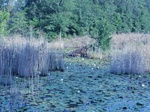 2012-10-04_13-59-46_NC-BR-2-North.JPG