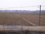 3183R0017217.JPG