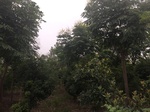 2017-09-11_22-22-32_9685779B-0B16-4835-A262-FC6DD97ADF91.jpg