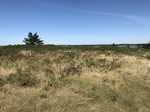 2018-09-05_12-22-55_9F55A85F-607F-49E8-BB0A-0681D7E2DF17.jpg