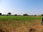 41277CIMG8124.JPG