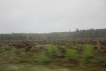 2018-04-14_14-26-23_2017-06-12 07.36.05.jpg
