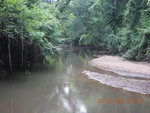 2017-07-06_14-03-21_Buffalo Creek, looking s towards  HiBridge trail SP trestle, Farmville Va.JPG