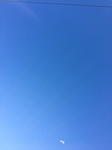 2020-02-28_10-38-13_AB2E81E2-B03E-47E6-8B35-8A9F9FDE04E2.jpg
