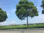 2017-09-12_13-52-55_C91B228D-96D5-4EEC-95F8-4C10F28A741E.jpg