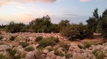 2017-09-11_15-34-59_AZ PM 160 649pm09 04 2017 CCoCoRaHS.jpg