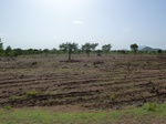 19328P1010174.JPG