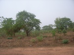 3979RIMG0283.JPG
