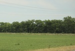 2022-05-26_14-05-36_24019C04-6E8A-4991-9617-2969BE60789B_1_201_a.jpeg