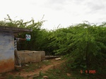 6324065b-rainfed-highly-fragmented-agriculture-with-intermix-of-scrubland-and-wasteland.jpg