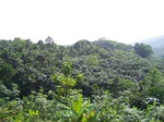 546711052008(37).JPG