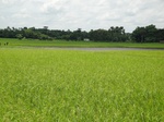 21350DSC00621.JPG