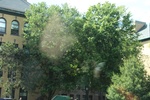 2022-06-12_15-15-38_C44205EB-1BF5-4E3E-822D-220A91D8433F.jpeg