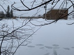 2020-02-21_10-59-27_99E34B6A-5E9B-463A-BC67-E092C4EB9AED.jpg
