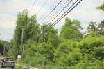 2022-06-11_17-48-46_36F17EDA-1422-4635-A1F8-3E43D7851B26.jpeg