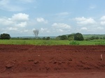 19748P1010597.JPG