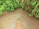 2012-09-07_10-20-01_CIMG6729.JPG