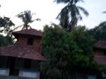 543810052008(59).JPG