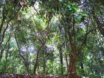 17518100_2779.JPG