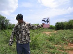 1052454-cropland-chena-bringal-a.gif