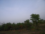 3845RIMG0149.JPG
