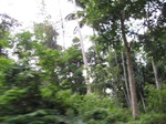 16314IMG_5088.JPG
