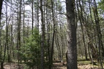 317IMG_3426.JPG