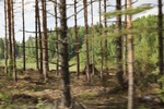 2018-04-14_13-44-12_2017-06-10 07.15.59-2.jpg