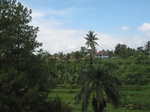 14835IMG_5228.JPG
