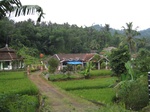 15304IMG_4141.JPG