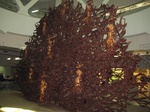14902IMG_5296.JPG