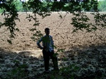 1780624042008(62).JPG