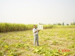 6549gt053-cropland-2.jpg