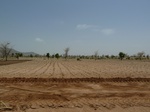 19205P1010051.JPG